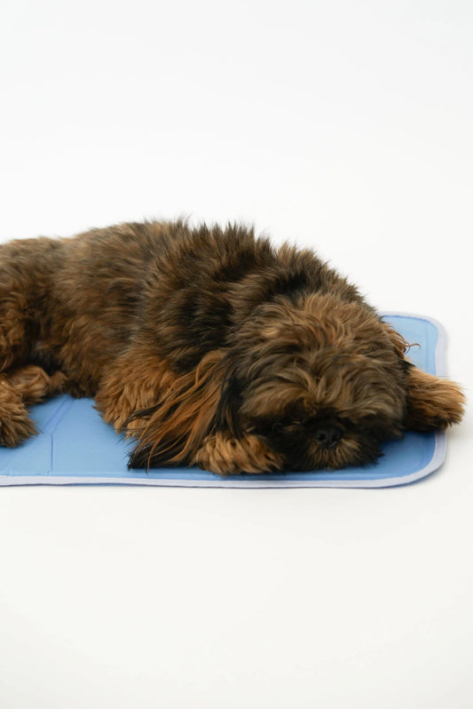 Cool Pet Pad — Self-Cooling Dog & Cat Mat (No Water or Electricity Needed)