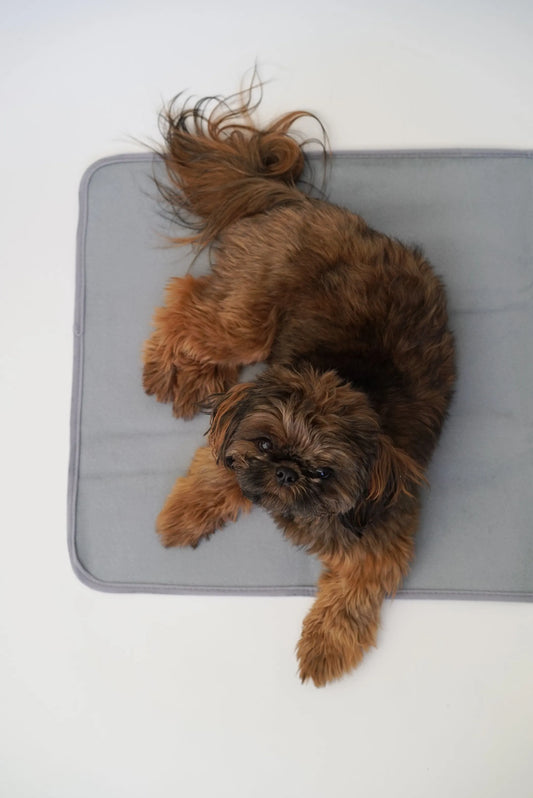 Thera-Pawz Therapeutic Warming Pad