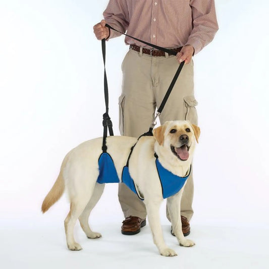 Total Pet Health Lift & Lead 4-in-1 Mobility Support Harness