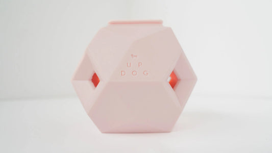 The Odin — Modern Treat Dispensing Puzzle Toy