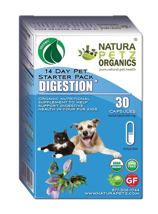 Digestive Health Starter Set