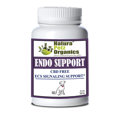 Endocannabinoid System Support Capsules