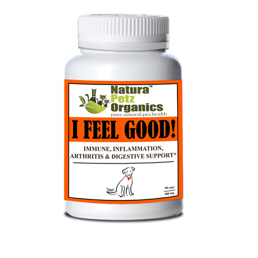 I Feel Good — Immune, Joint & Digestive Support