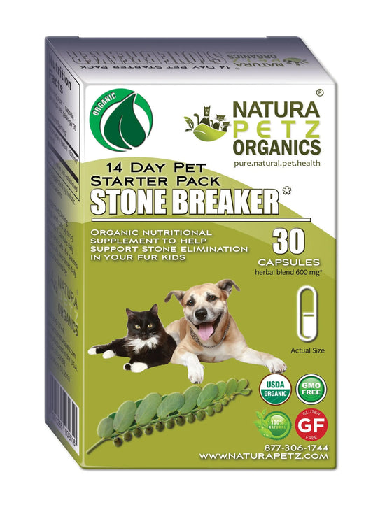 Urinary & Kidney Support Starter Set