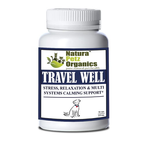 Travel Well — Calm & Stress Support