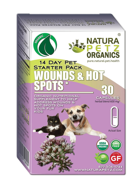 Wound & Hot Spot Recovery Starter Set