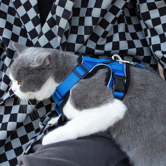 PurrTrek Reflective Cat Harness & Leash Set