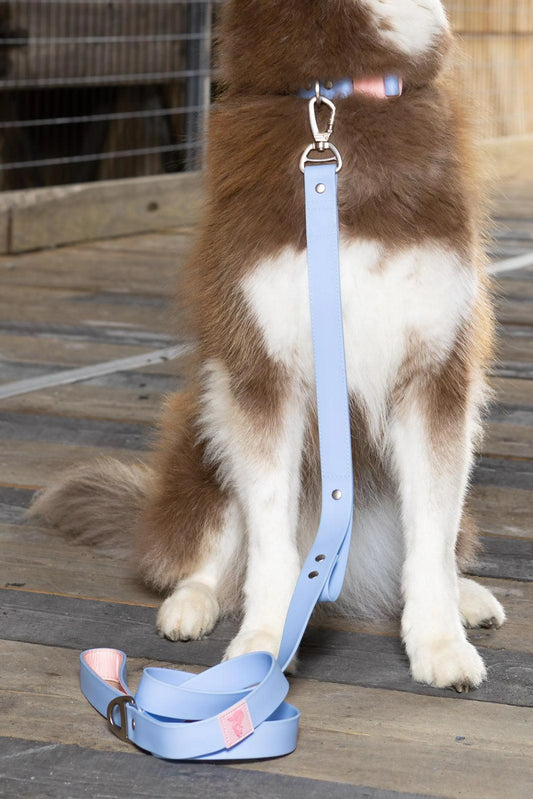 Blue Sky Orchid Waterproof Dog Lead