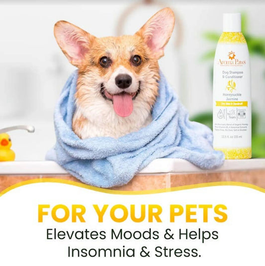 Aroma Paws Honeysuckle & Jasmine Shampoo — 13.5oz