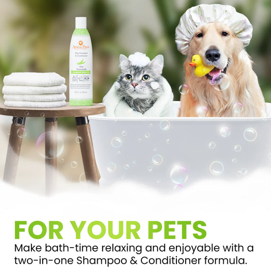 Aroma Paws Hypoallergenic Shampoo — 13.5oz