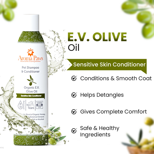Aroma Paws Organic Olive Oil Shampoo — 13.5oz