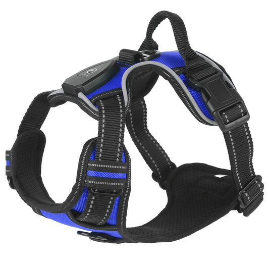 Rechargeable LED Light-Up Dog Safety Harness