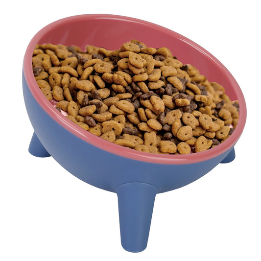 Tilted Elevated Cat Food Bowl