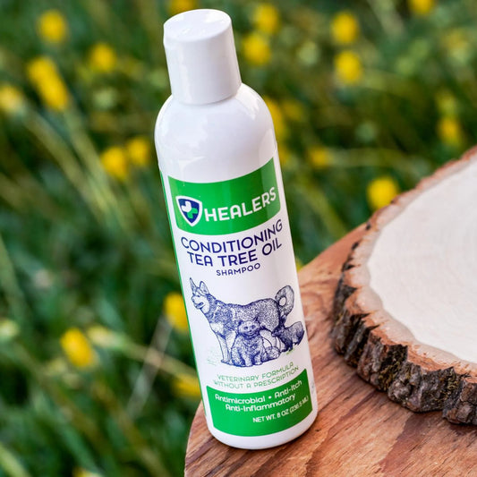 Tea Tree Oil Conditioning Shampoo
