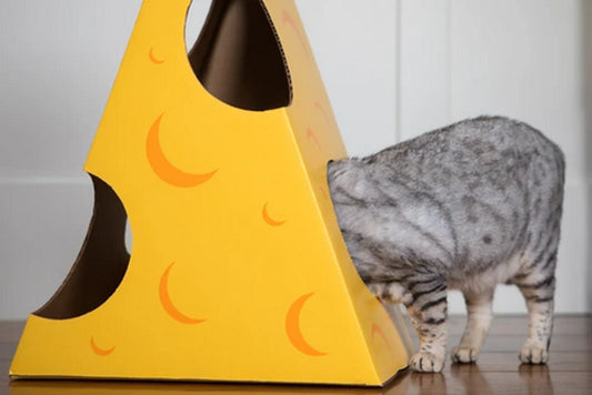 Premium Interactive Cat Toy