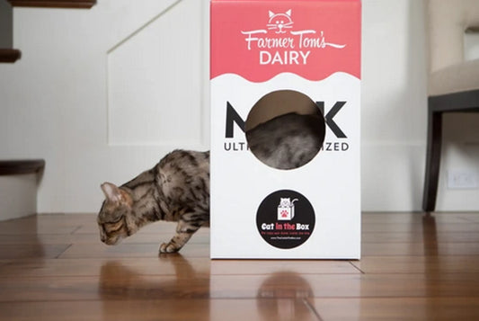 Premium Interactive Cat Toy