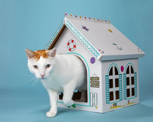 Premium Interactive Cat Toy